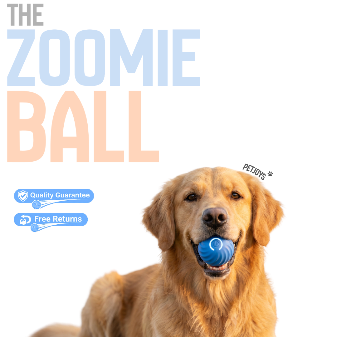 The Zoomie Ball™